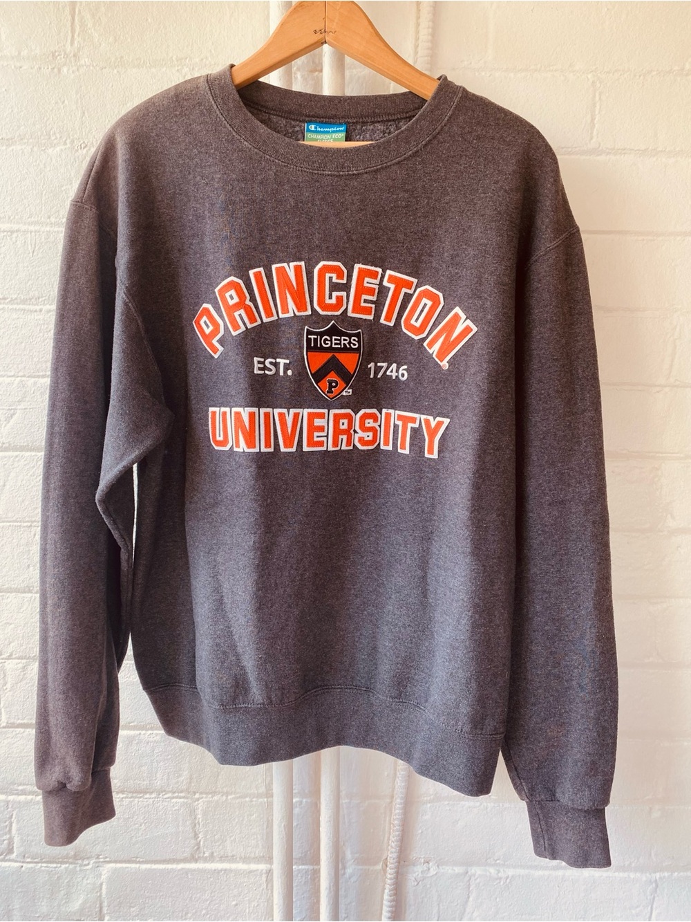 Princeton University Champion Eco Fleece Crewneck Sweatshirt M Patch Letters